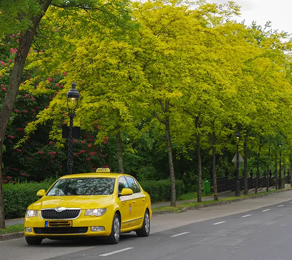 TAXI, VOTRE TICKET POUR L-AVENTURE